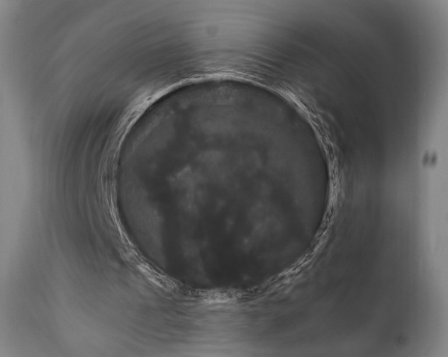 X0000111800241200907231217