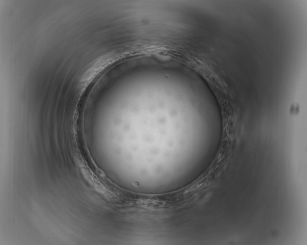 X0000111800242200907231217