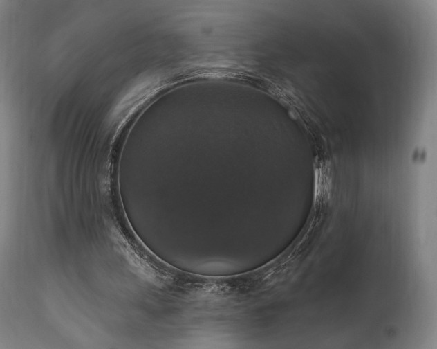X0000111800243200907231217