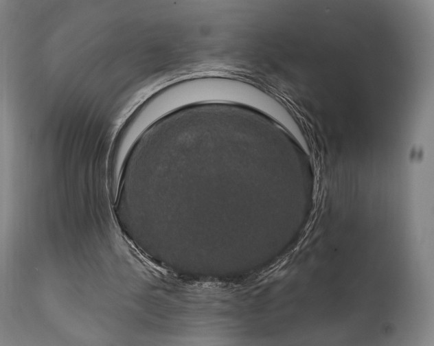 X0000111800244200907231217