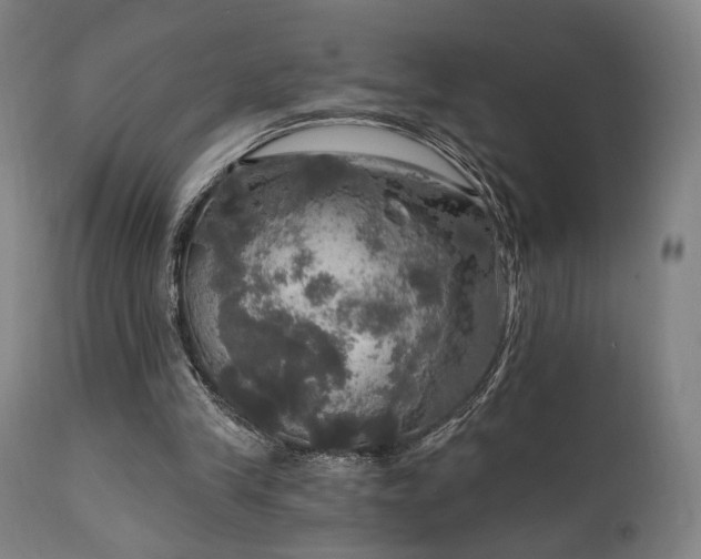 X0000111800245200907231217