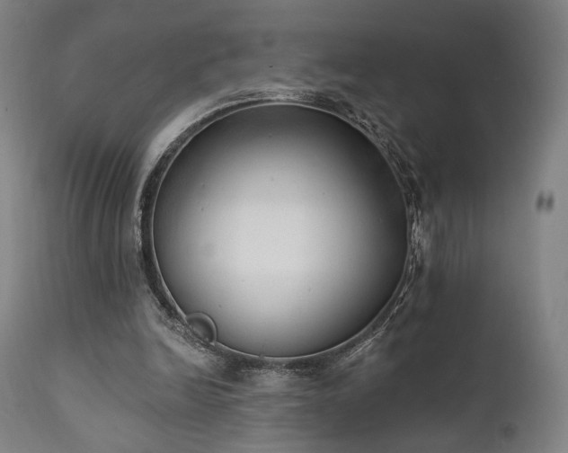 X0000111800246200907231217