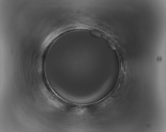 X0000111800247200907231217