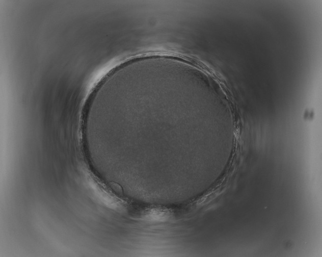 X0000111800248200907231217
