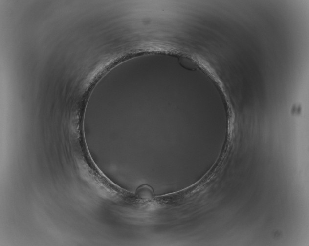 X0000111800249200907231217