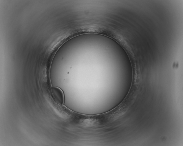 X0000111800251200907231217
