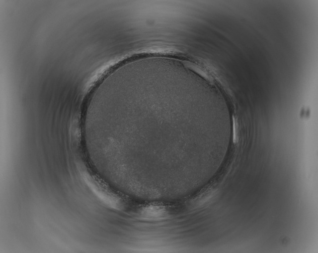 X0000111800252200907231217