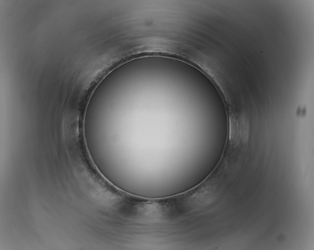 X0000111800253200907231217