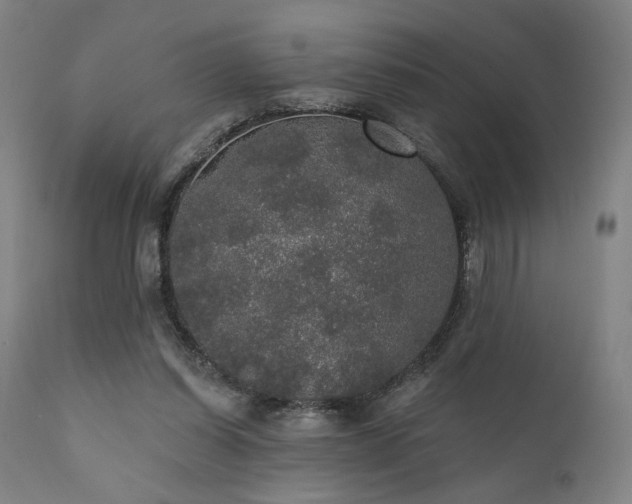X0000111800254200907231217