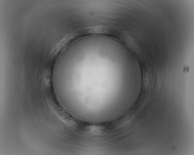 X0000111800255200907231217