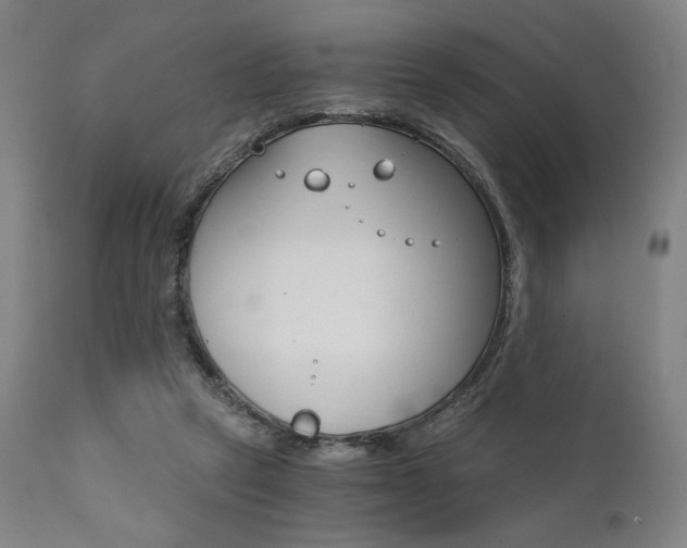 X0000111800257200907231217
