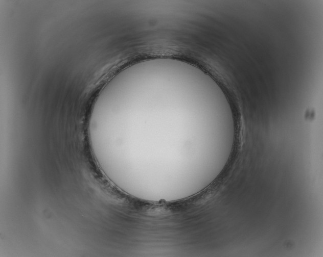 X0000111800258200907231217