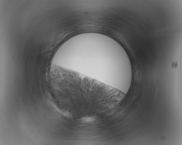 X0000111800259200907231217