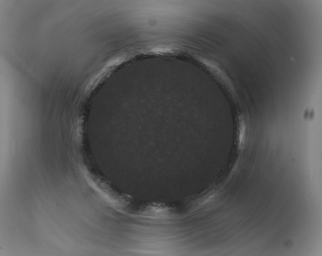 X0000111800260200907231217