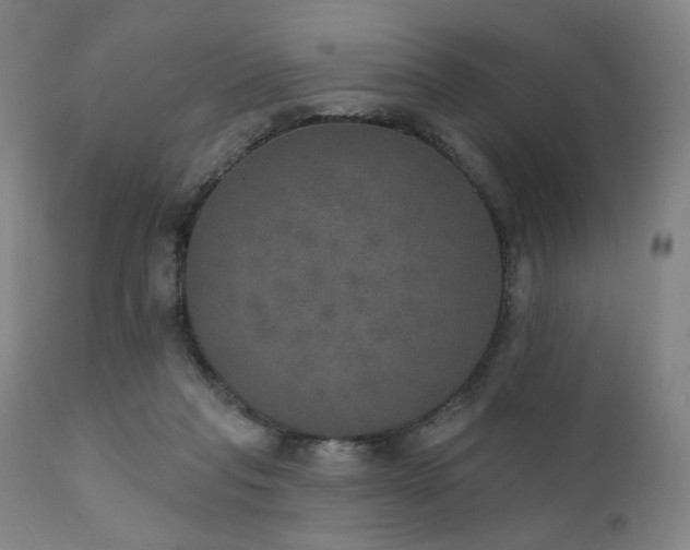X0000111800261200907231217