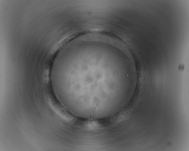 X0000111800262200907231217