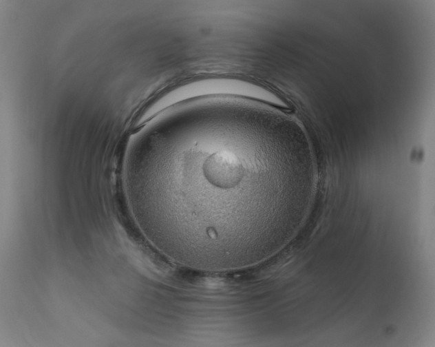 X0000111800264200907231217