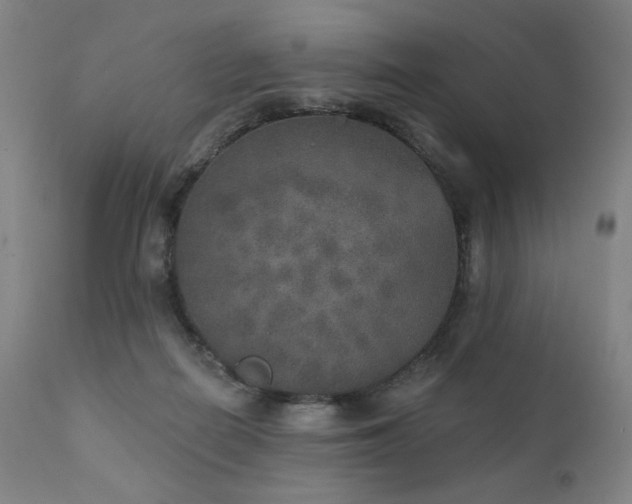 X0000111800266200907231217