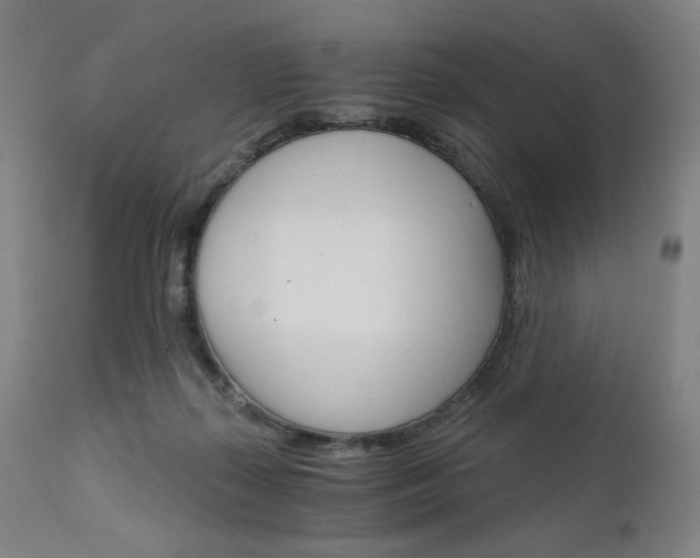 X0000111800267200907231217
