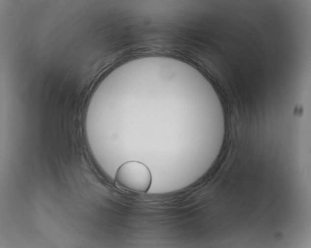 X0000111800268200907231217