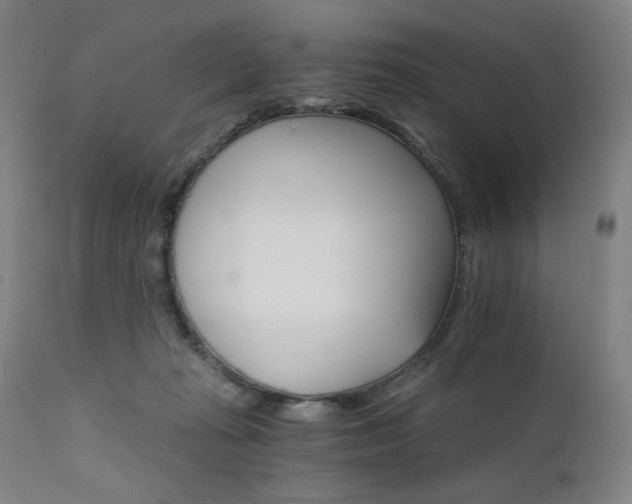 X0000111800269200907231217