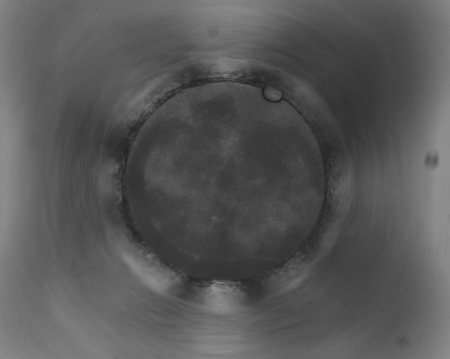 X0000111800270200907231217