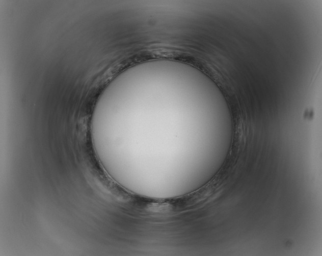 X0000111800271200907231217