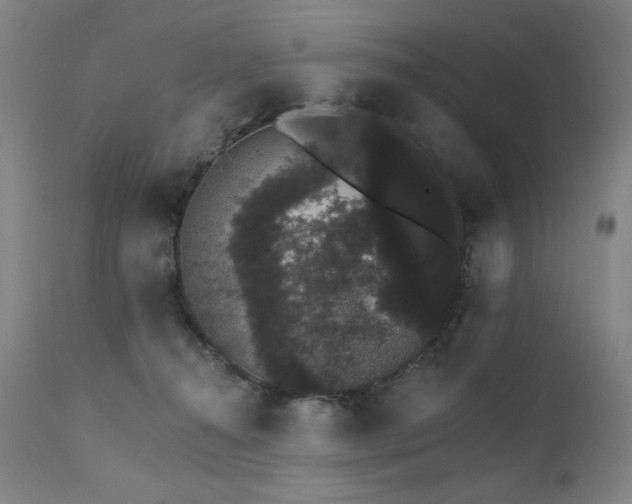 X0000111800272200907231217