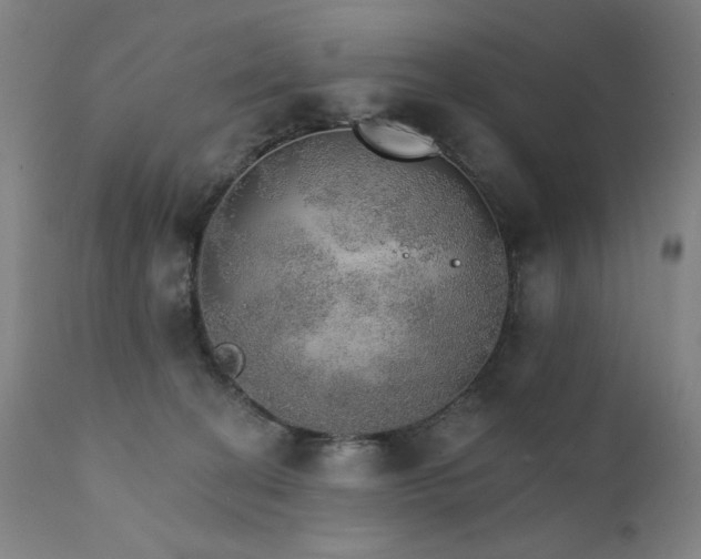 X0000111800274200907231217