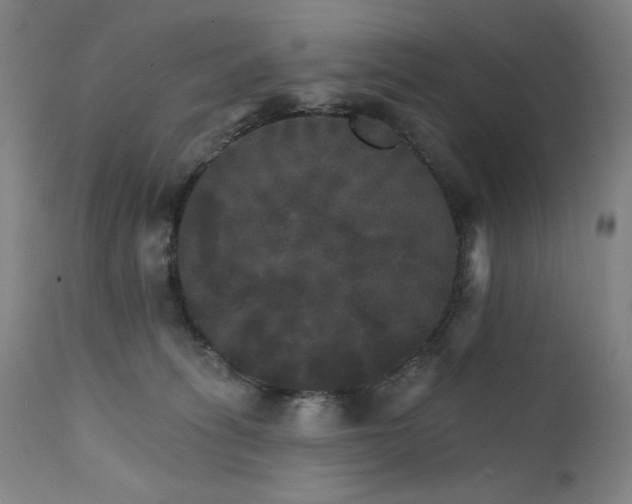 X0000111800275200907231217