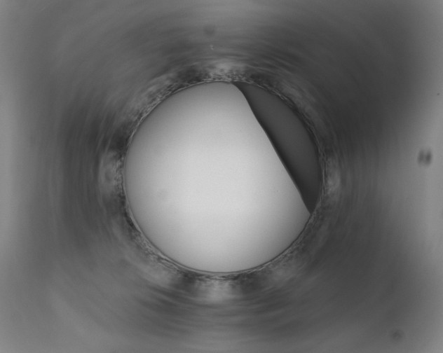 X0000111800276200907231217