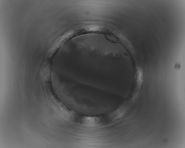 X0000111800277200907231217