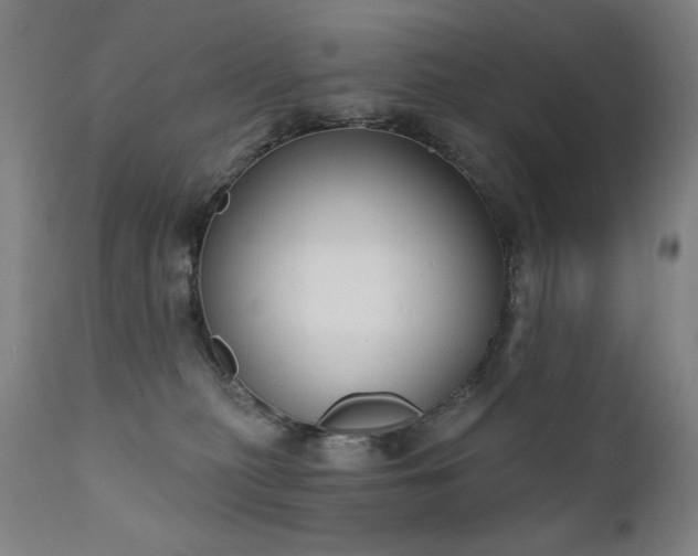 X0000111800279200907231217