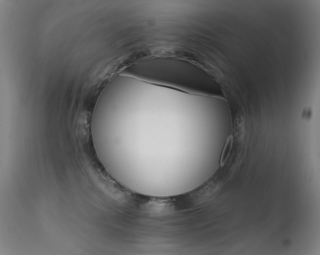 X0000111800280200907231217