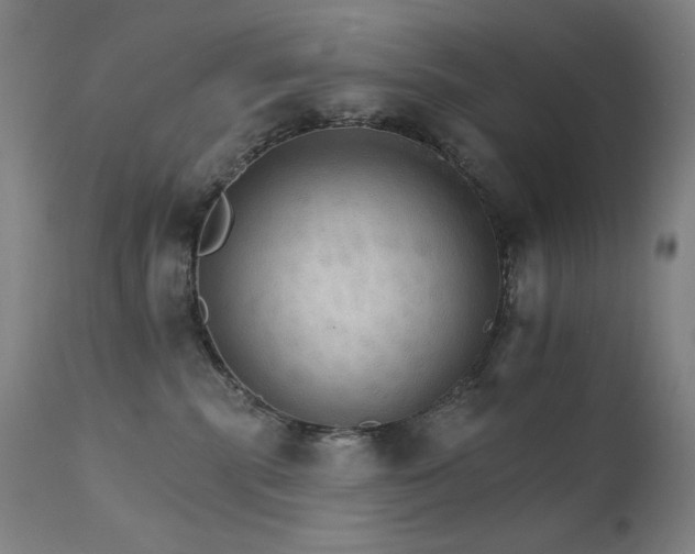 X0000111800283200907231217