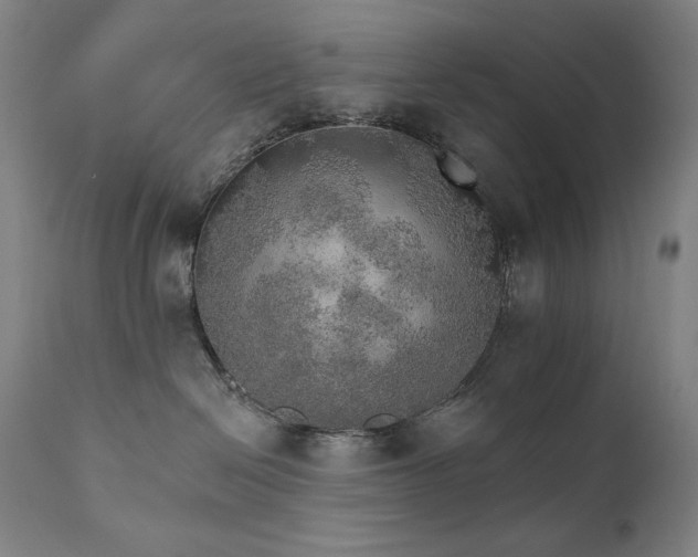 X0000111800286200907231218