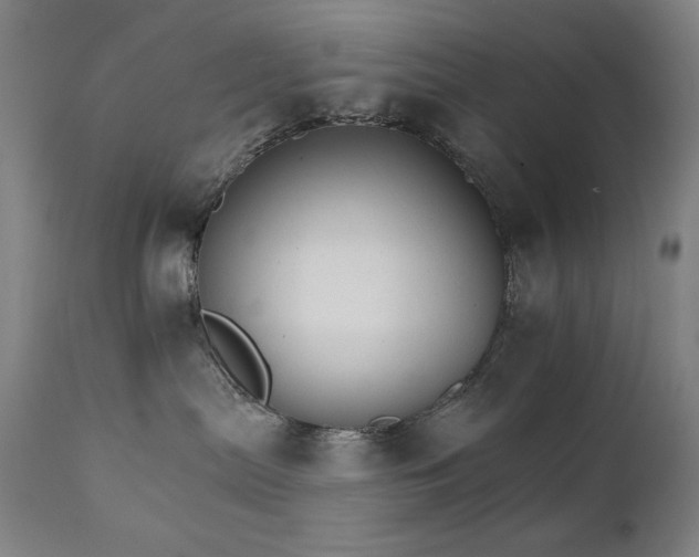 X0000111800287200907231218
