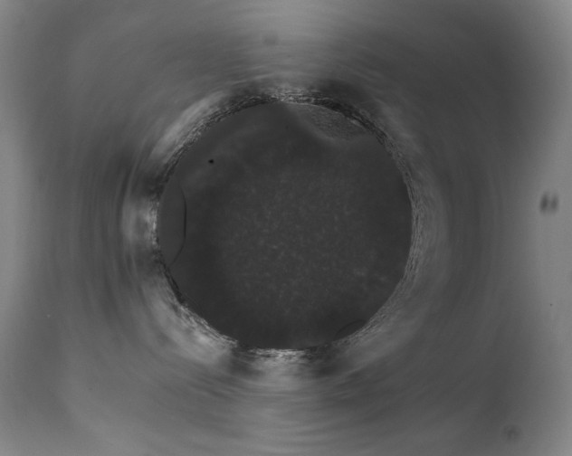 X0000111800288200907231218