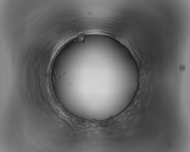 X0000111800289200907231217