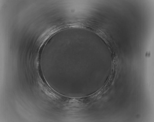 X0000111800290200907231217