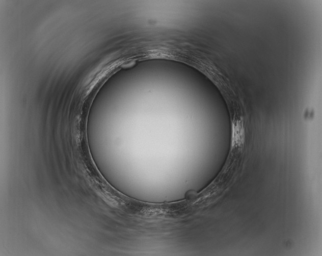 X0000111800291200907231217
