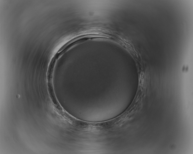 X0000111800292200907231217