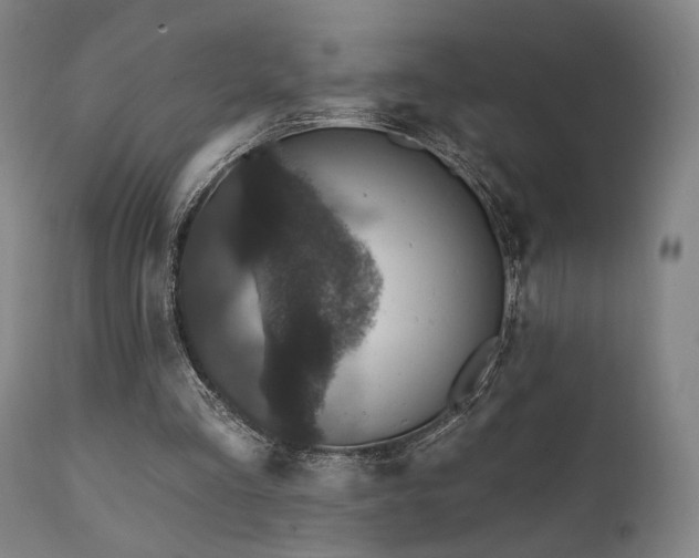 X0000111800293200907231217