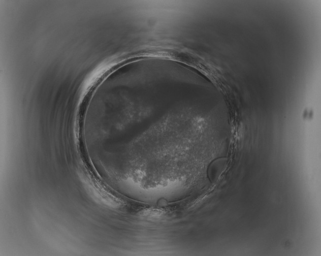 X0000111800294200907231217