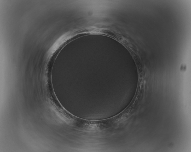 X0000111800295200907231217