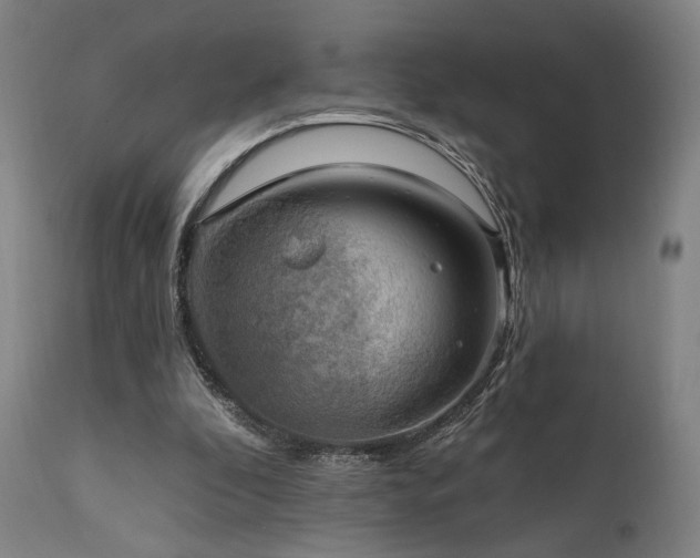 X0000111800296200907231217
