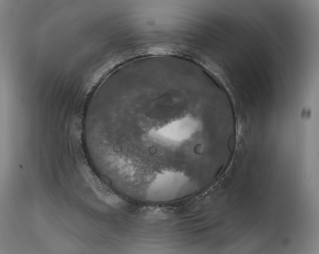 X0000111800297200907231217