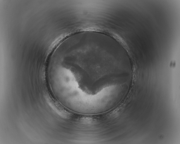 X0000111800298200907231217