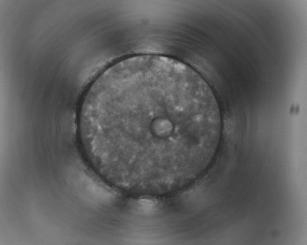 X0000111800302200907231217