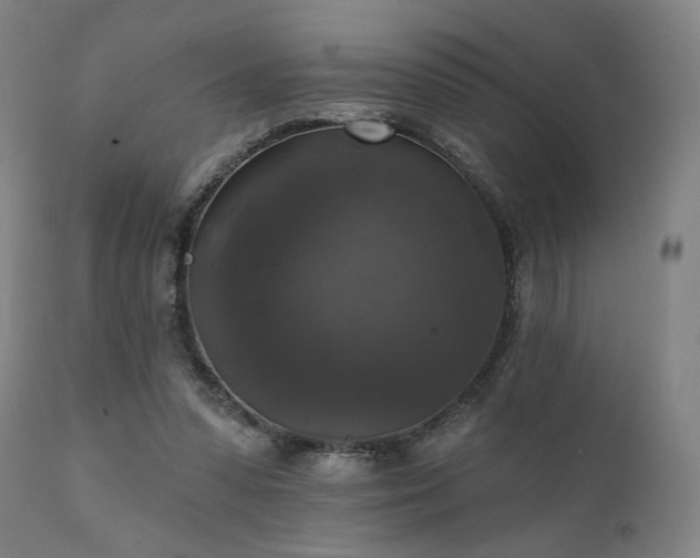 X0000111800303200907231217